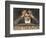 Ludwig Van Beethoven Beethoven Struggles with His Inner Demons as He Composes His 9th Symphony-null-Framed Photographic Print