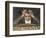 Ludwig Van Beethoven Beethoven Struggles with His Inner Demons as He Composes His 9th Symphony-null-Framed Photographic Print