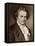 Ludwig Van Beethoven-null-Framed Premier Image Canvas