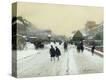 Stretched Canvas Print