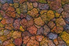 Autumn in the Glencoe-Luigi Ruoppolo-Photographic Print