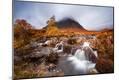 Photographic Print
