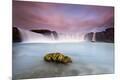 Photographic Print
