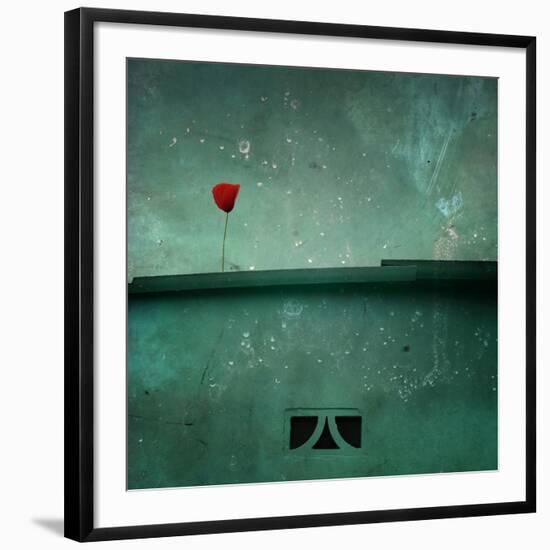 Photographic Print, , large