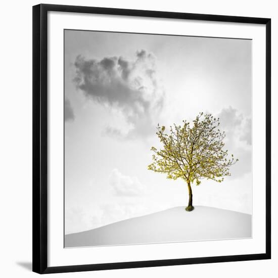 Photographic Print, , large