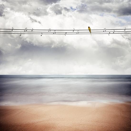 Photographic Print, , large
