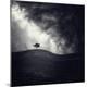 Premium Photographic Print