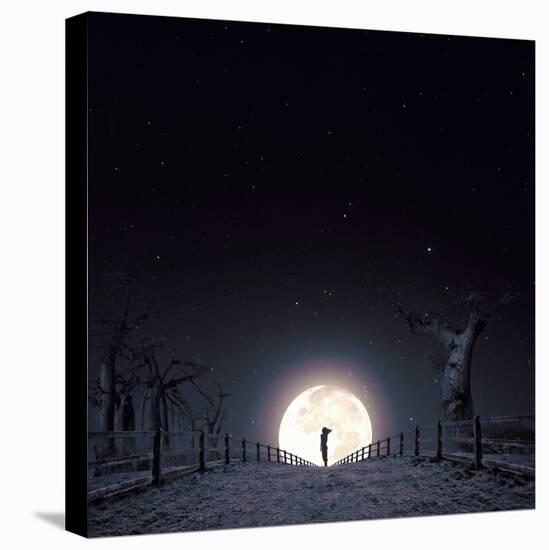 Stretched Canvas Print, , large