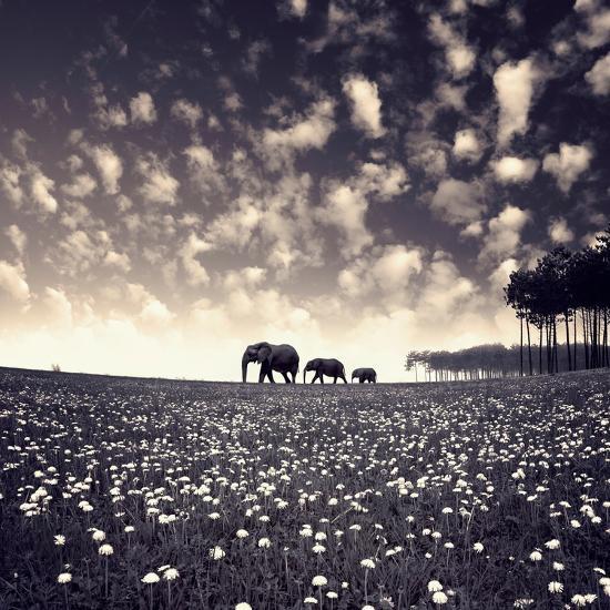 Premium Giclee Print, , large