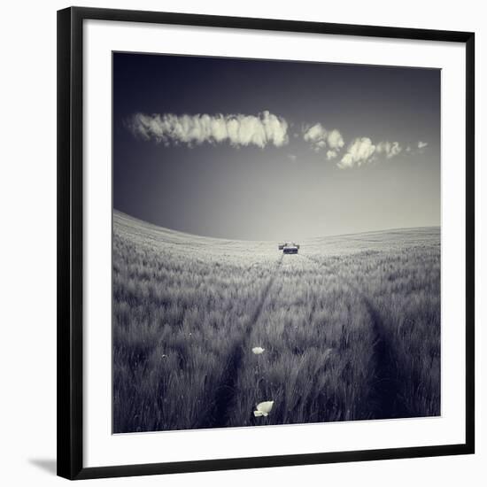Photographic Print, , large