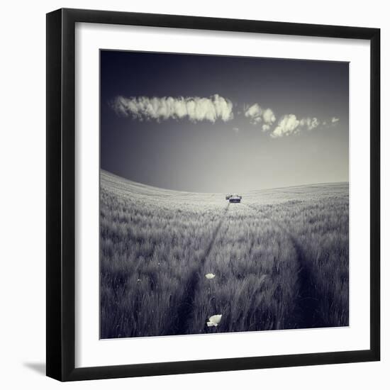 Photographic Print, , large