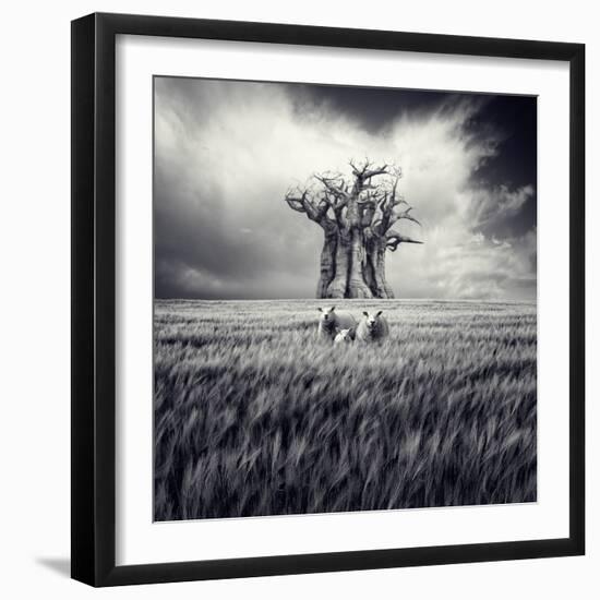 Photographic Print, , large