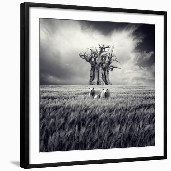 Photographic Print, , large