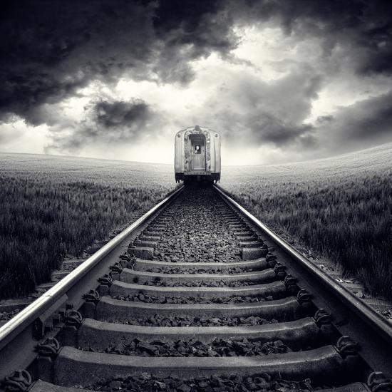 Photographic Print, , large