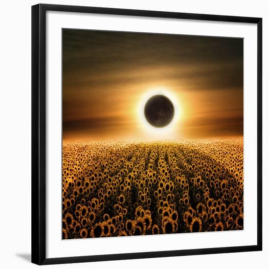 Photographic Print, , large