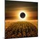 Premium Photographic Print