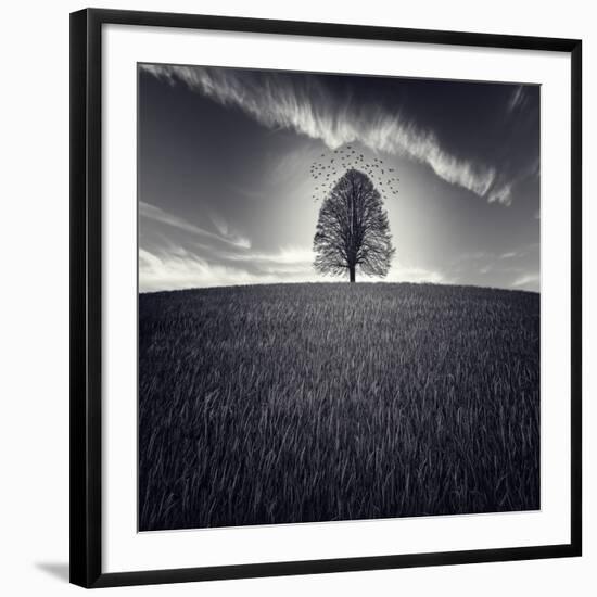 Photographic Print, , large