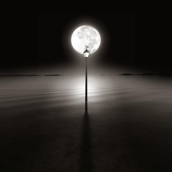Photographic Print, , large