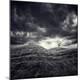 Premium Photographic Print