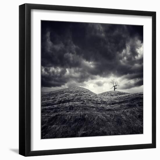 Photographic Print, , large