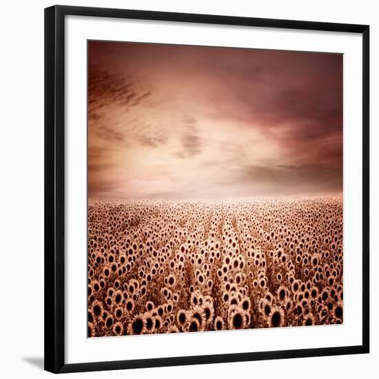 Photographic Print, , large