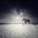 Premium Photographic Print