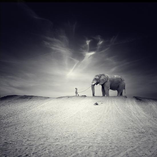 Photographic Print, , large