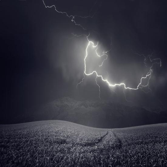 Premium Photographic Print, , large