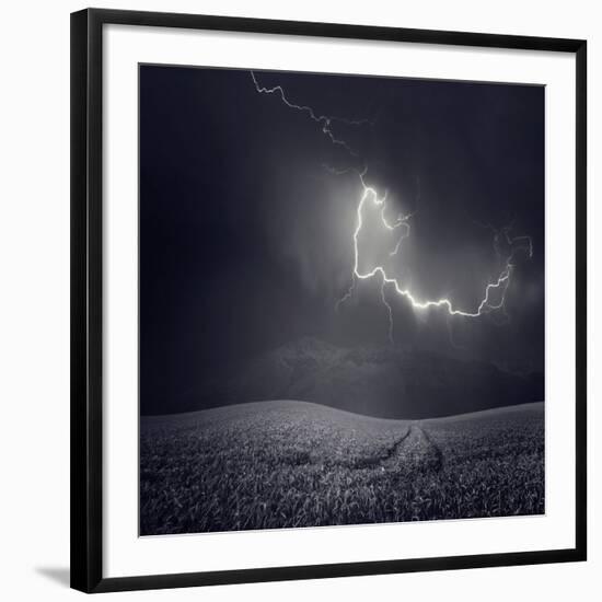 Photographic Print, , large