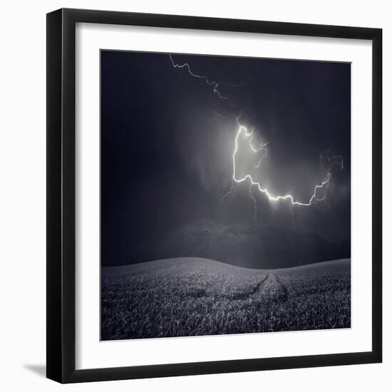 Photographic Print, , large