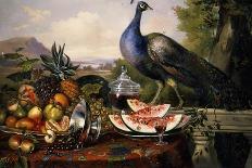 Still Life with Peacock-Luis Portu-Premium Giclee Print