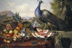 Still Life with Peacock-Luis Portu-Framed Premier Image Canvas