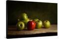 Stretched Canvas Print