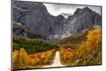 Photographic Print