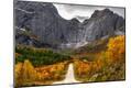 Photographic Print