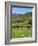 Luke's Mountain, Mourne Mountains, County Down, Ulster, Northern Ireland, United Kingdom, Europe-Jeremy Lightfoot-Framed Photographic Print