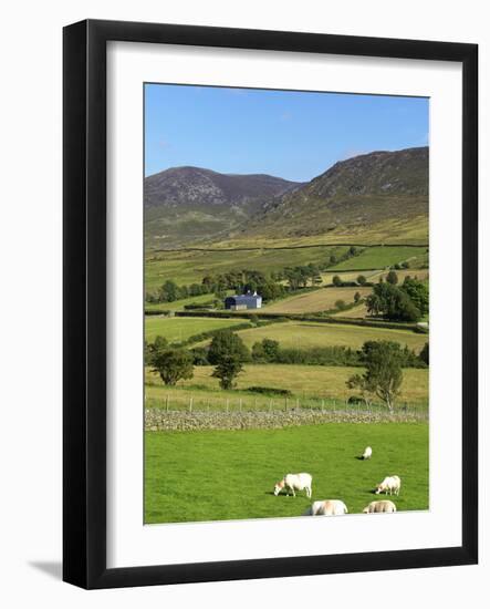 Luke's Mountain, Mourne Mountains, County Down, Ulster, Northern Ireland, United Kingdom, Europe-Jeremy Lightfoot-Framed Photographic Print