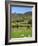 Luke's Mountain, Mourne Mountains, County Down, Ulster, Northern Ireland, United Kingdom, Europe-Jeremy Lightfoot-Framed Photographic Print