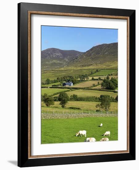 Luke's Mountain, Mourne Mountains, County Down, Ulster, Northern Ireland, United Kingdom, Europe-Jeremy Lightfoot-Framed Photographic Print