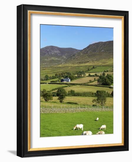 Luke's Mountain, Mourne Mountains, County Down, Ulster, Northern Ireland, United Kingdom, Europe-Jeremy Lightfoot-Framed Photographic Print