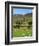 Luke's Mountain, Mourne Mountains, County Down, Ulster, Northern Ireland, United Kingdom, Europe-Jeremy Lightfoot-Framed Photographic Print