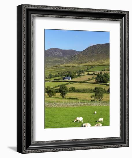 Luke's Mountain, Mourne Mountains, County Down, Ulster, Northern Ireland, United Kingdom, Europe-Jeremy Lightfoot-Framed Photographic Print