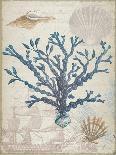 Coastal Coral 2-Lula Bijoux-Art Print