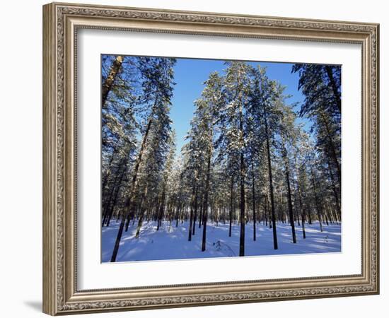 Lulea, Lapland, Sweden, Scandinavia, Europe-Sergio Pitamitz-Framed Photographic Print