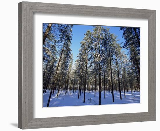 Lulea, Lapland, Sweden, Scandinavia, Europe-Sergio Pitamitz-Framed Photographic Print