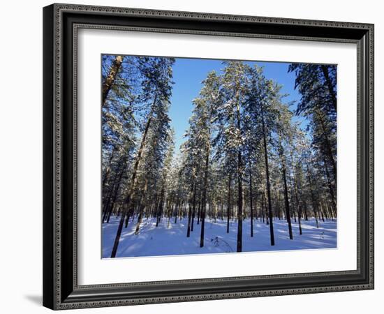 Lulea, Lapland, Sweden, Scandinavia, Europe-Sergio Pitamitz-Framed Photographic Print