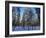 Lulea, Lapland, Sweden, Scandinavia, Europe-Sergio Pitamitz-Framed Photographic Print