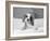 Lulu-Kim Levin-Framed Photographic Print