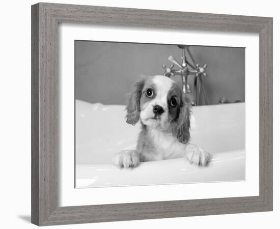 Lulu-Kim Levin-Framed Photographic Print