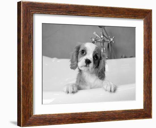 Lulu-Kim Levin-Framed Photographic Print